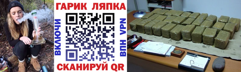 ГАШ Premium  Сальск 