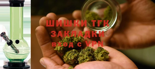 гидра Абаза