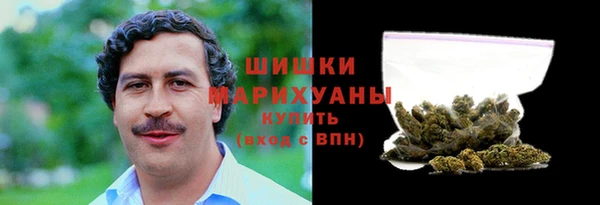 гидра Абаза