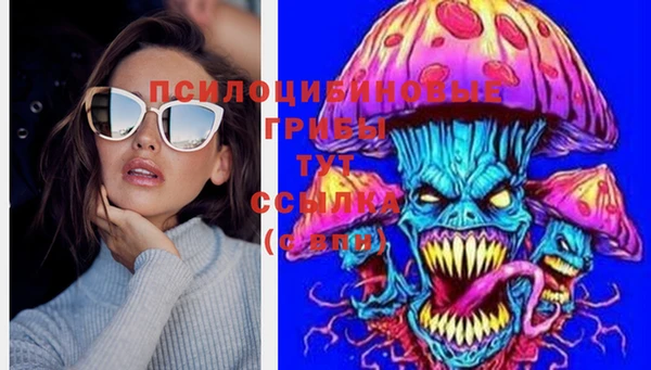 мяу мяу мука Абдулино