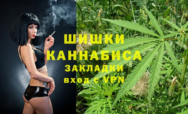 гидра Абаза
