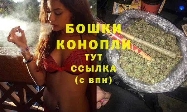 гидра Абаза