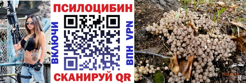 Галлюциногенные грибы мицелий  Сальск 