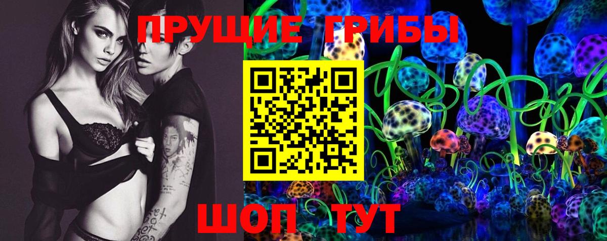 Псилоцибиновые грибы MAGIC MUSHROOMS Сальск